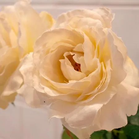 Appartamento Casa Pepa Conil De La Frontera