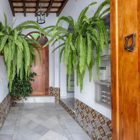 Casa Pepa Apartment Conil De La Frontera
