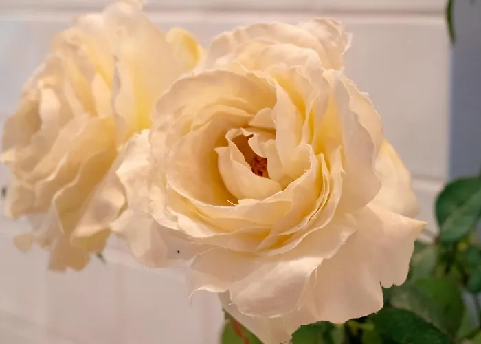 Apartamento Casa Pepa Conil De La Frontera