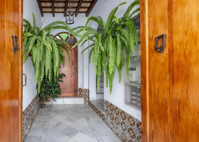 Casa Pepa Apartamento Conil De La Frontera