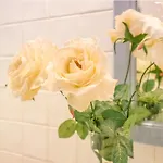 Casa Pepa Conil De La Frontera